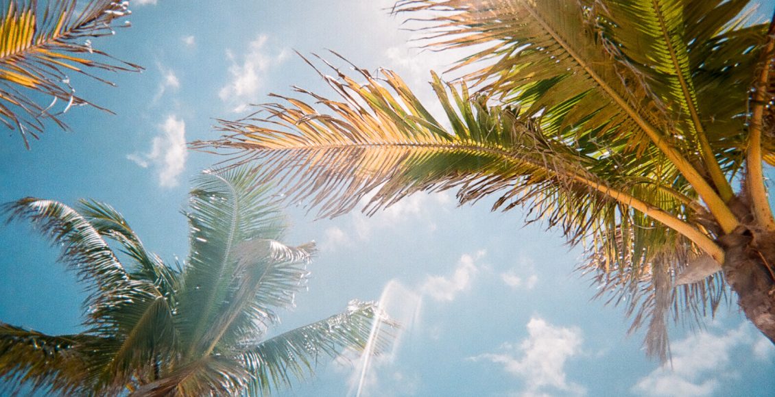 Practical Reasons Why You Might Want to Use Solar Energy