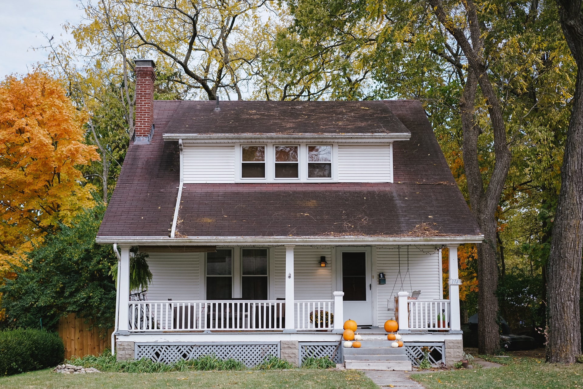 Is Mold Ruining Your House