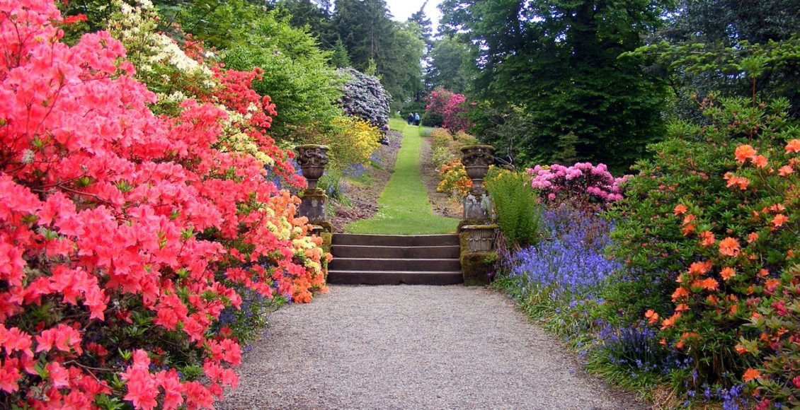 Tips On How TO Maintain Your Lawn's Ornamental