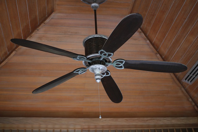 fan-ceiling