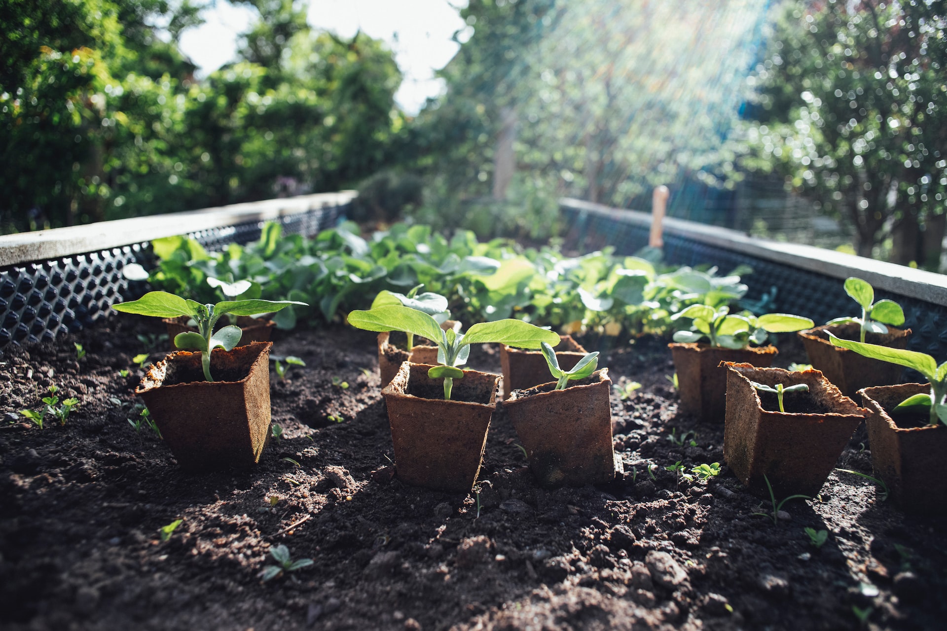 How Does Urban Agriculture Increase Property Value