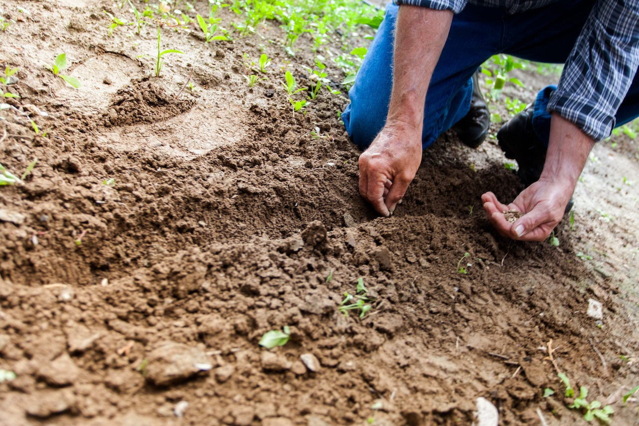 Redecorating Your Garden