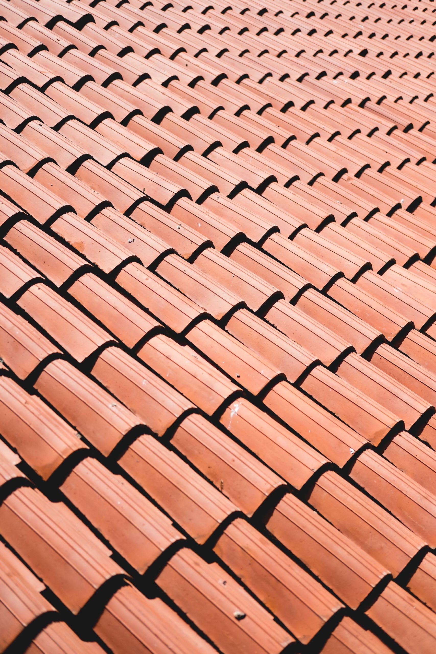 Common Warning Signs of Roof Problems