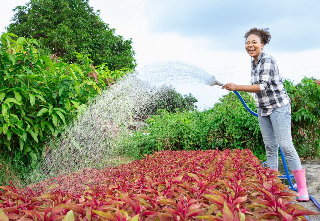 Frequently Asked Questions About how can i get a loan to buy land