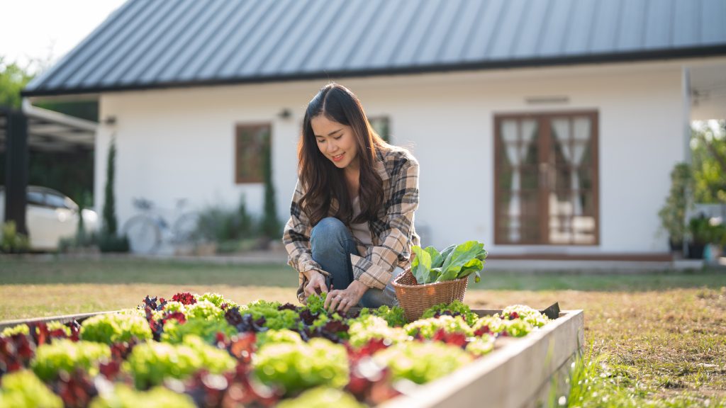 How to Repair Credit to Buy a House