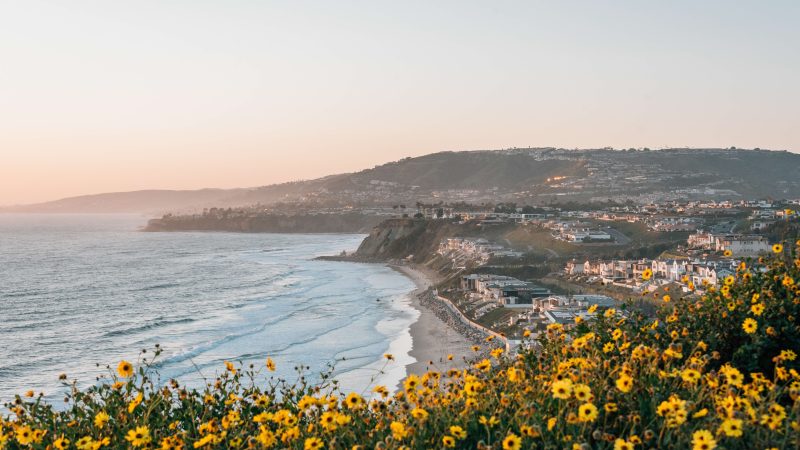 Best Flat Fee MLS Companies in California