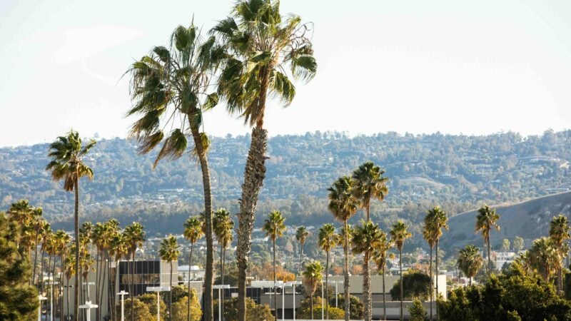 Best Flat Fee MLS Companies in Torrance, California