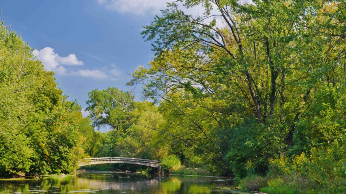 Best Flat Fee MLS Companies in Naperville, IL